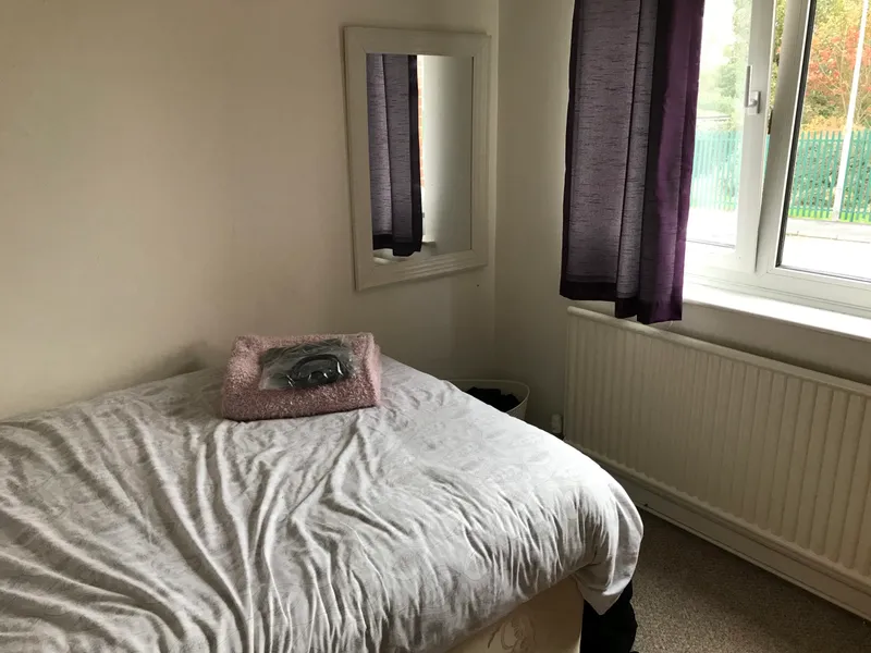 Lincoln Bishop // Large 5 Bed house // SEP 2026 - Image 4